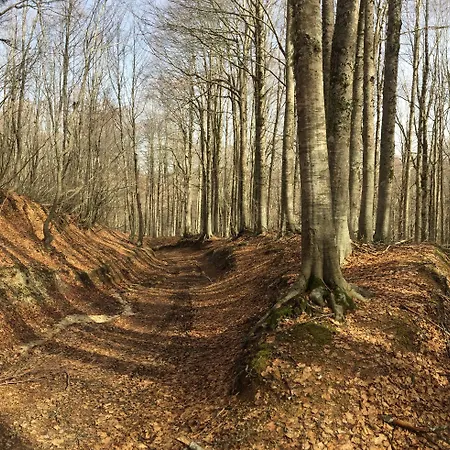호텔 타소 카미글리아텔로 실라노