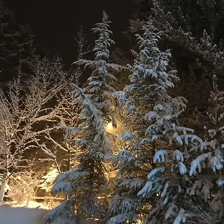 Tasso Camigliatello Silano