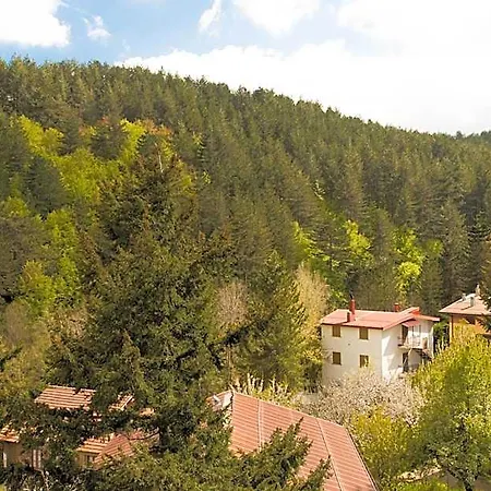Tasso 3* Camigliatello Silano