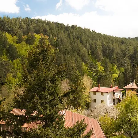 Tasso Camigliatello Silano