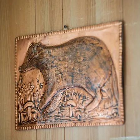 타소 카미글리아텔로 실라노