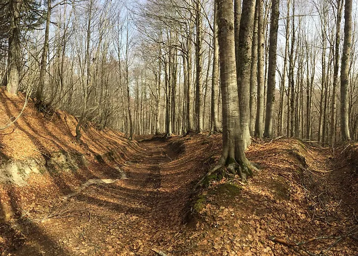 Hotel Tasso Camigliatello Silano