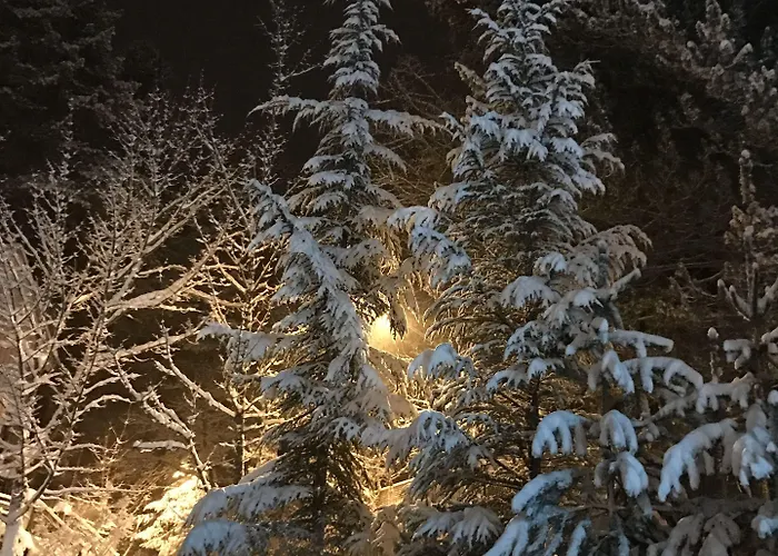 Tasso Camigliatello Silano