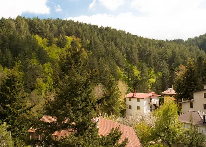 Tasso Camigliatello Silano